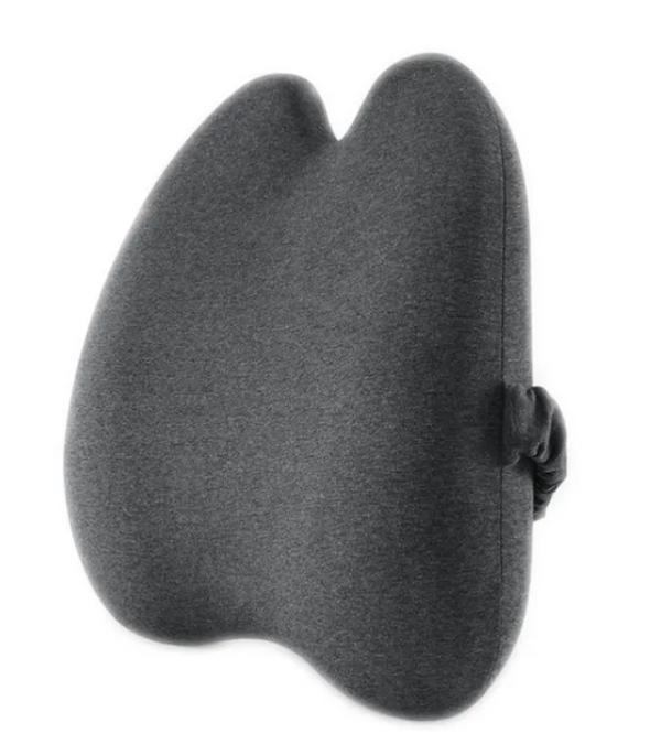 ComfortBoost Back Support Pillow